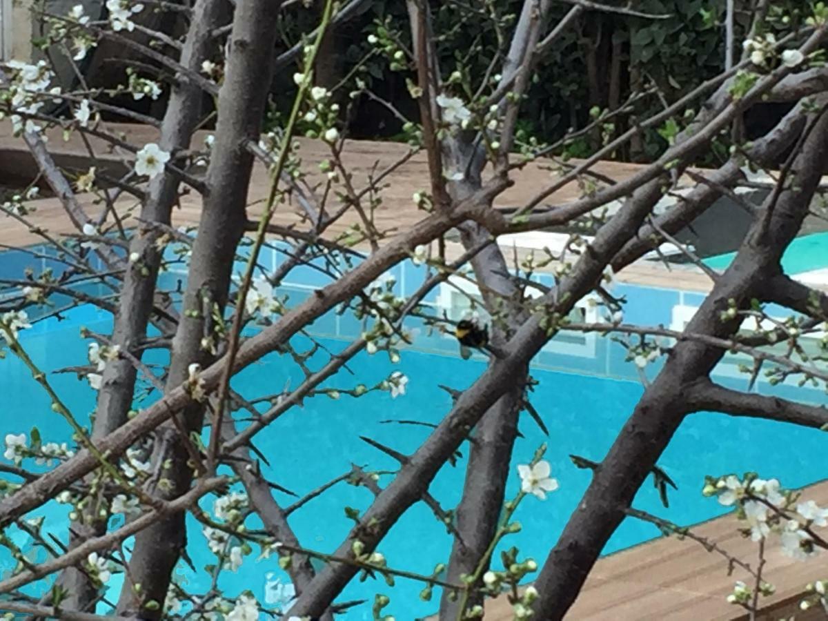 Sunny Rhodes Villa Koskinou  Bagian luar foto