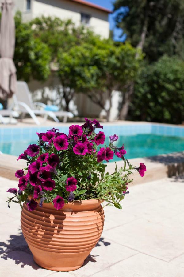 Sunny Rhodes Villa Koskinou  Bagian luar foto
